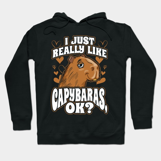 I Just Really Like Capybaras OK Hoodie by aneisha